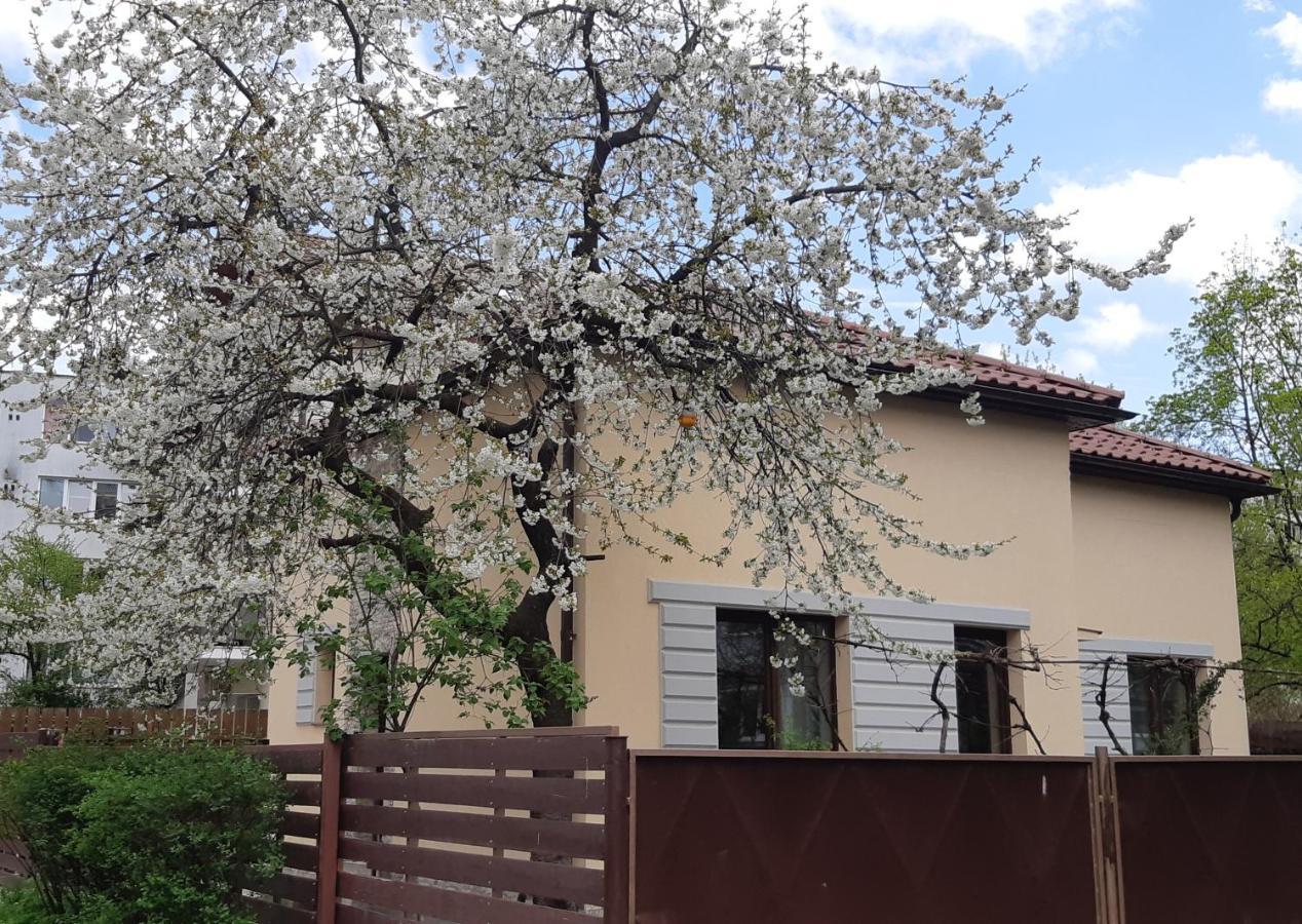 Casa Cu Tei Apartment Cluj-Napoca Exterior photo